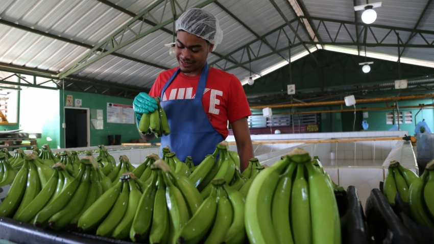 Presidente Medina prioriza a la agroindustria e industria nacional en las compras públicas